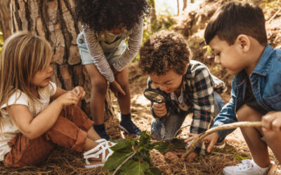 The Rise of Forest Schools in the UAE